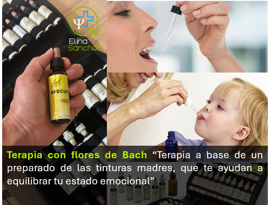 Terapia flores de Bach Elina Sánchez G